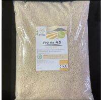 ?[5KG.]ข้าว กข 43 ตราไก่สีทอง ดัชนีน้ำตาลต่ำ ปลอดสาร organic 100% 5KG