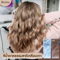 Berina ครีมย้อมผม สีน้ำตาลเข้มประกายหม่น A21,A46 รวม 2 ชิ้น