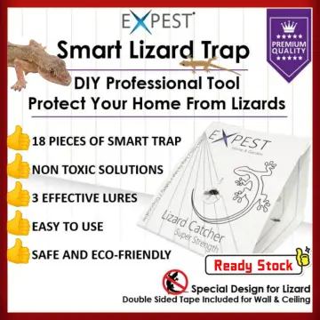 9 Pcs Lizard (Cicak) Sticky Trap / DIY Lizard Killer