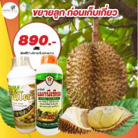 แม็กนีเซียม 30%  และ มิโดรริโกลด์