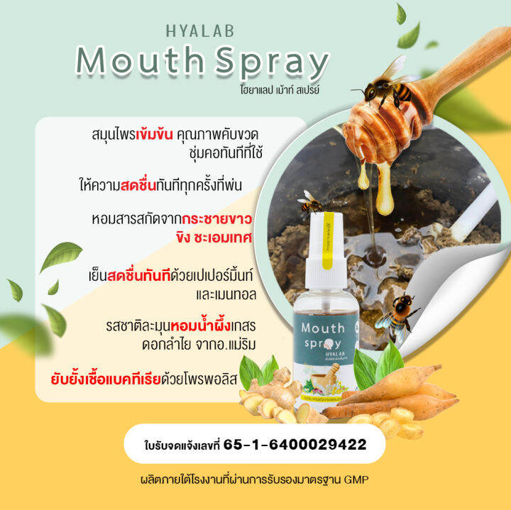 พร้อมส่ง-hyalab-propoliz-spray-โพรโพลิซ-โพรโพลิส-30-ml-propolis-สเปรย์ฆ่าเชื้อ-สเปรย์พ่นคอ-แก้เจ็บคอ