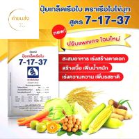 ปุ๋ยเกล็ด 7-17-37ตราเรือใบไข่มุก

1 กิโลกรัม ฉีดพ่นใบ ช่วยในการสะสมอาหารสร้างตาดอก สร้างเนื้อ เพิ่มน้ำหนัก รสชาติและกลิ่น  เพิ่มอัตราสร้างแป้งและน้ำตาลในกลุ่มพืชไร่