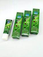 APOLO TOOTHPASTE HERBAL  EXTRA  VERGIN
With natural harbal