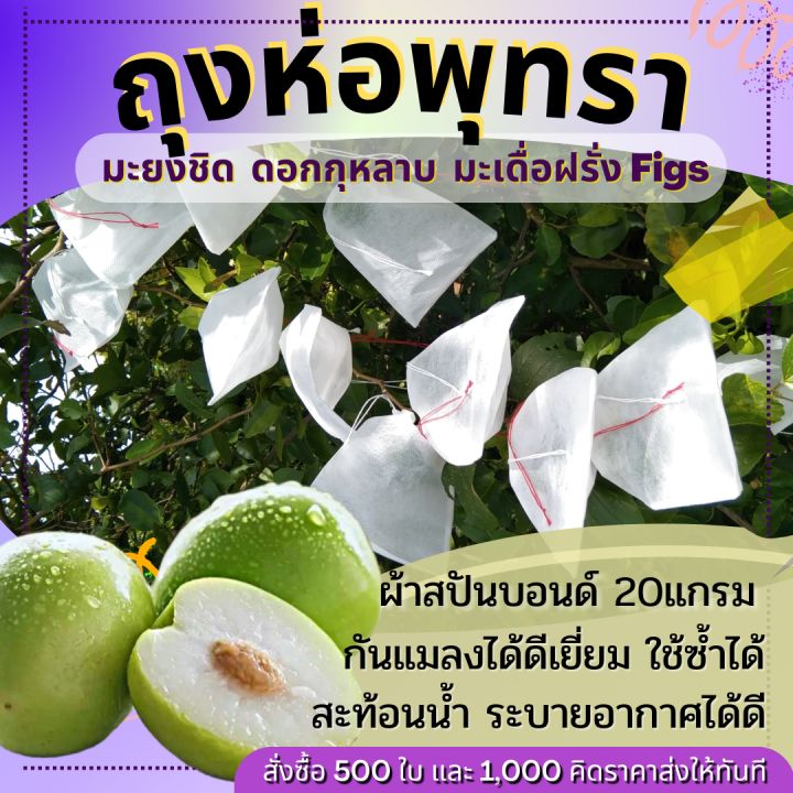 ถุงห่อผลไม้-พุทรา-4-5x5นิ้ว-ห่อผลไม้ไซด์เล็กได้หลายชนิด-ถุงห่อผลไม้-กันเเมลง