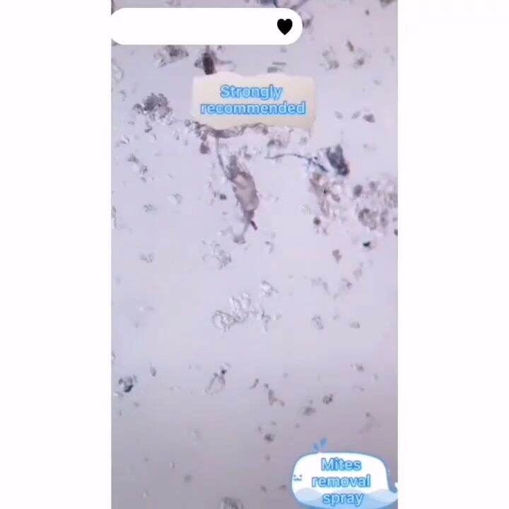 320ML Mite Spray Bed Bug Killer Insect Spray Dust Mite Remove Spray