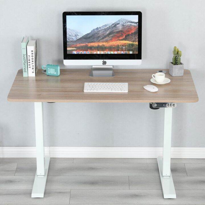 BilBil 48 Inches 1.2M Electric Standing Desk Single Motor Desk Height ...