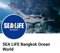 [Digital Coupon] Sealife Oceanworld Bangkok ซีไลฟ์ โอเชี่ยนเวิล์ด สยามพารากอน ส่งไว ราคาพิเศษ