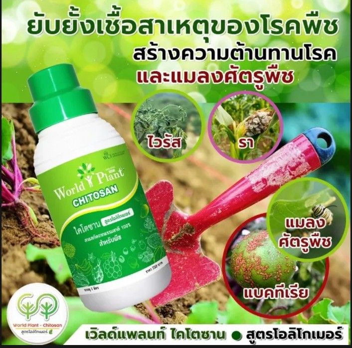 เวิลด์แพลนท์-ไคโตซาน-ชุดคู่หู-world-plant-chitosan-ปุ๋ยน้ำสูตรโอลิโกเมอร์