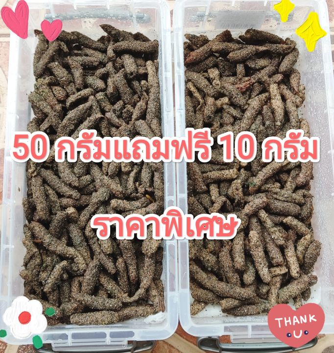 ไข่ตั๊กแตน-ไข่ตั๊กแตนปาทังก้า-น้ำหนัก-50-กรัมแถมฟรีอีก-10-กรัม-ราคาพิเศษ