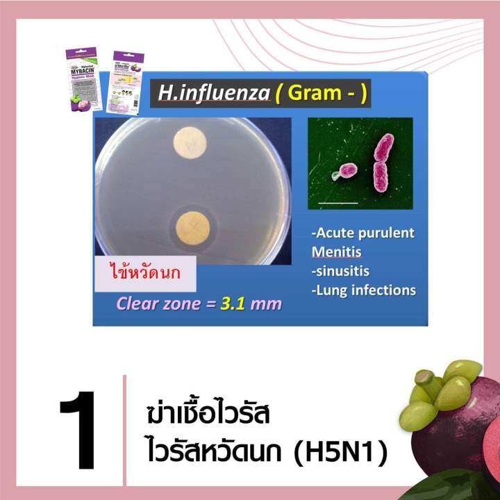 1-ซอง-2-ชิ้น-หน้ากากอนามัยสารสกัดจากเปลือกมังคุด-mybacin-hygienic-mask-mangosteen