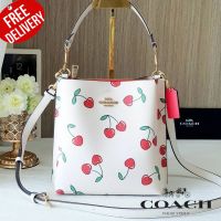 กระเป๋าสะพาย Coach CF422 Mollie Bucket Bag 22 With Heart Cherry Print