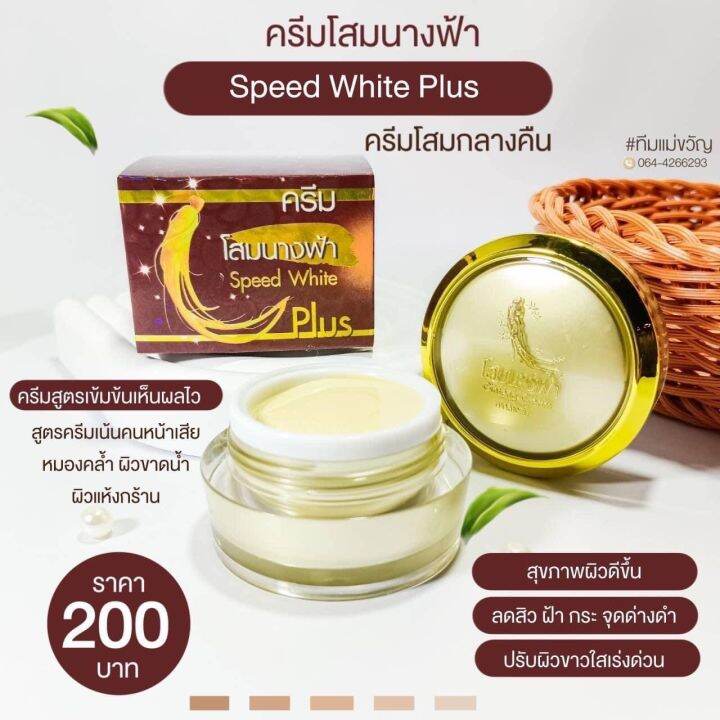 set-5-กล่อง-ครีมโสมนางฟ้า-ของเเท้100-speed-white-plus-premium-ginseng-ครีมกลางคืน-ขนาด-20-กรัม