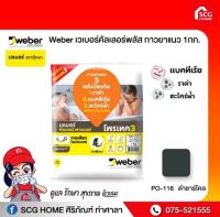 WEBER ยาแนว เวเบอร์ พาวเวอร์ PO-116 ดำ ชาร์โคล