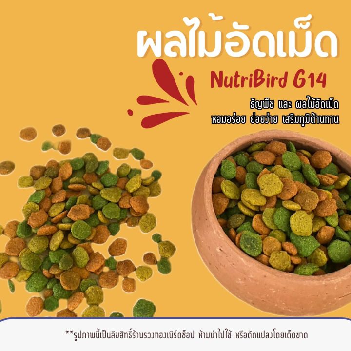 ผลไม้อัดเม็ด-nutri-bird-g14-tropical-อาหารนกแก้วขนาดเล็ก-กลาง-อาหารเสริมนก