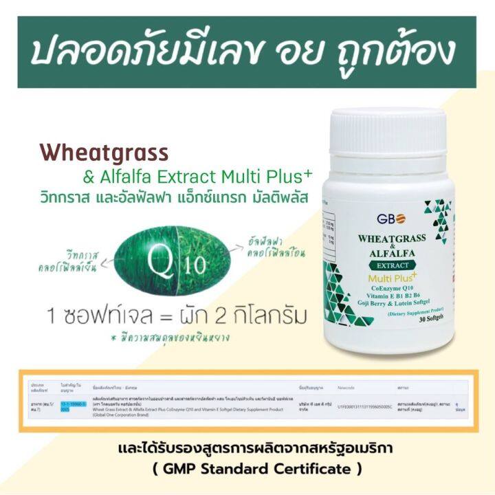 กะปุก-30-เม็ด-ผักเม็ด-newlife-globalone-wheatgrass-amp-alfalfa-nbsp-q10-ผักเม็ดนิวไลฟ์