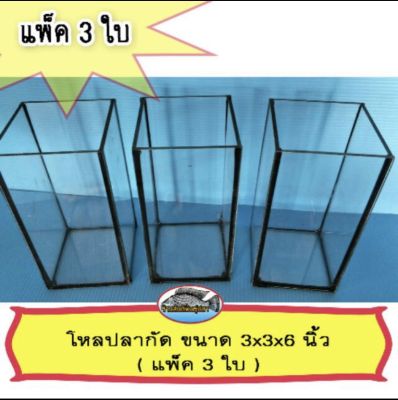 โหลปลากัด ขนาด 3x3x6 นิ้ว ( แพ็ค 3 โหล )