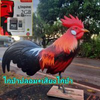 หุ่นไก่ป่าสวยๆ+เสียงร้องไก่ป่า*ใช้ต่อไก่ป่า/ตกแต่งบ้าน ของฝาก ฯลฯ