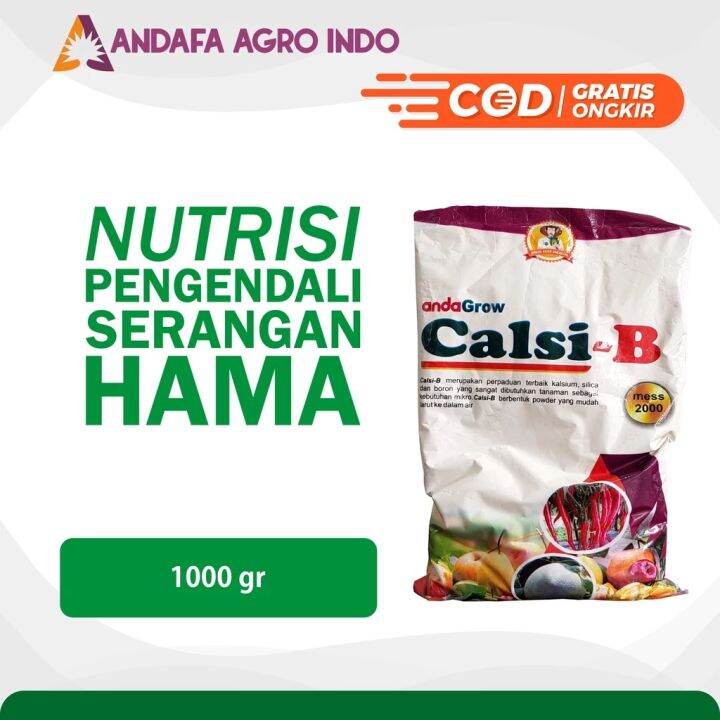 Pupuk Calsi B 1 Kg Pupuk Kalsium Plus Boron Pencegah Rontok Bunga Dan ...