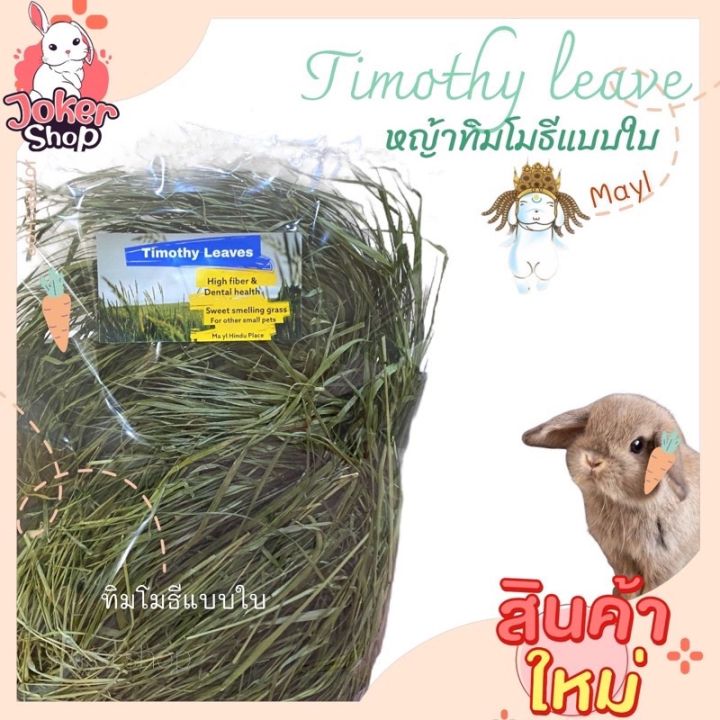 new-ทิมโมธีแบบใบ-timothy-leave-ยี่ห้อมายล-ใบอ่อน-กินง่าย-สำหรับกระต่ายกินทิมโมธียาก-ให้เสริมระหว่างวัน-ทิมโมธีเกรดสวย