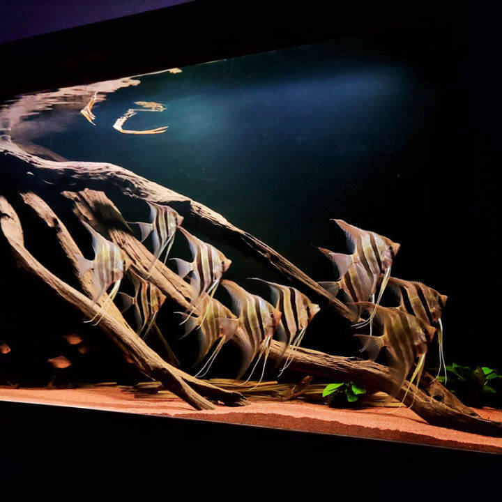 South American Jar Landscaping Rainforest Sand Taihang Red Gerbil Sand Yellow Golden Sand Egypt