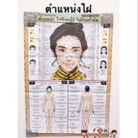 โปสเตอร์แสดงภาพ ตำแหน่ง ไฝดีเอาไว้ ไฝร้ายกำจัด ขนาดความกว้าง22นิ้ว ความสูง32นิ้ว