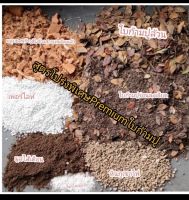 ดินปลูกบอนสี,อโลคาเซีย,ฟิโลเดนดอน สูตรพรีเมี่ยมใบก้ามปู โปร่งพิเศษ Super Premium Soil for Alocacia,Philodendron,Aglaonema