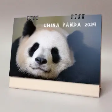 2023-2024 Cute Desk Calendar Mini Panda Desk Calendar Student Desktop  Ornaments Agenda Office Supplies