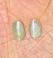 คริสโซเบอรีลแคทอายธรรมชาติ 1.45cts 7x4.5มม. 1 คู่ 1.45cts natural chrysoberyl catseye 7x4.5mm pair