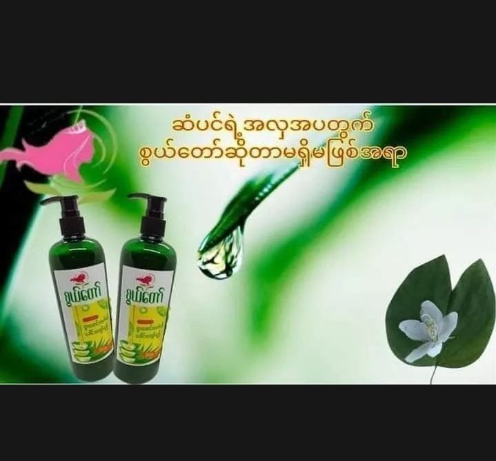 shwe-taw-finding-solutions-to-the-various-aspects-of-hair-health-aloe-vera-shampoo-230-baht