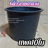 กระถางพลาสติกดำกลม 6 นิ้ว แพค10ใบ (ส่งจากกรุงเทพ)  กระถางกระบองเพชร กระถางแคตตัส กระถาง  กระถางลายตาราง