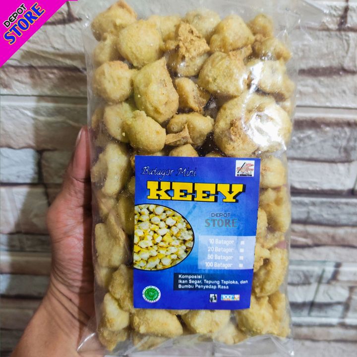 Batagor Mini Kering Isi 100 Pcs Perbungkus Lazada Indonesia