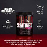 Animal Creatine XL