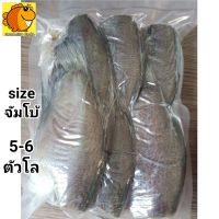 ปลาสลิดแดดเดียว ตัวใหญ่คัดพิเศษ 1 kg 5-6 ตัว