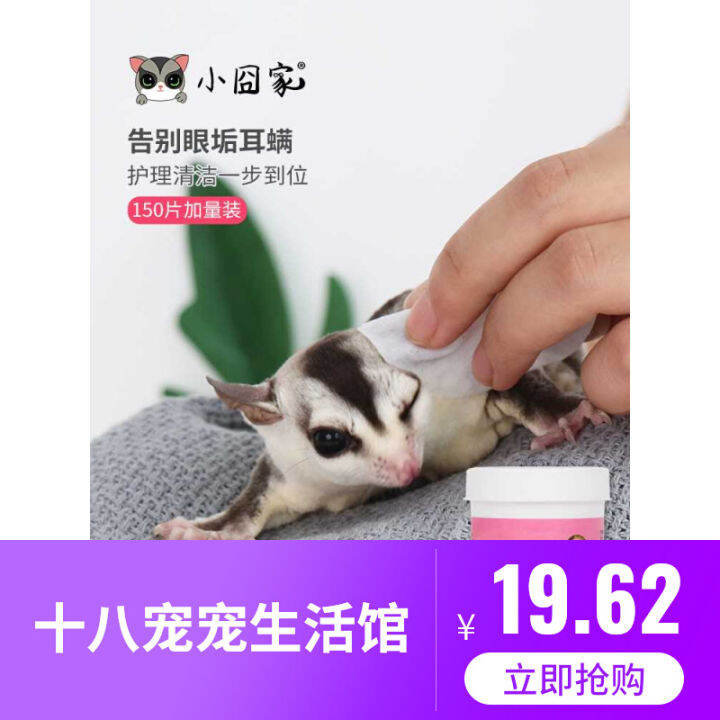 Early Summer Sugar Glider Cleaning Wipes Stink Squirrel Hamster Eye Dry