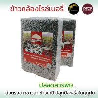 ข้าวกล้องไรซ์เบอรี่ ปลอดสารพิษ ส่งตรงจากชาวนา