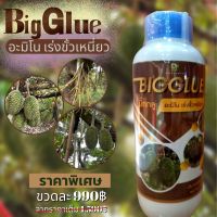 Big Glue บิ๊กกลู อะมิโนเร่งขั้วเหนี่ยว ครูหน่อย สมศักดิ์