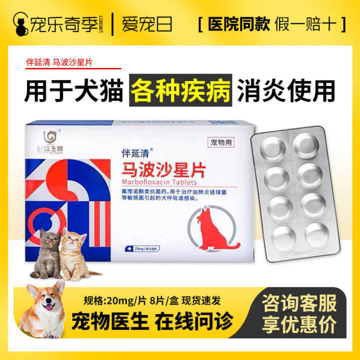 Anti-Inflammatory Drug for Skin Diseases in Dogs and Cats with Yanqing ...