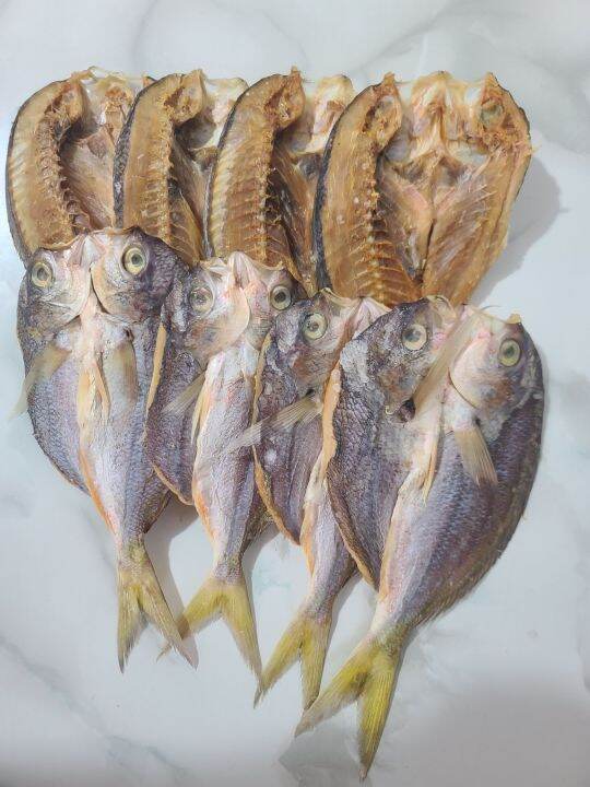 Dalagang Bukid Dried Fish 500g Palawan Lazada PH