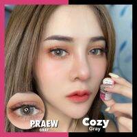 เลนส์ขนาดกลาง แฟชั่นลาย preaw สีเทา