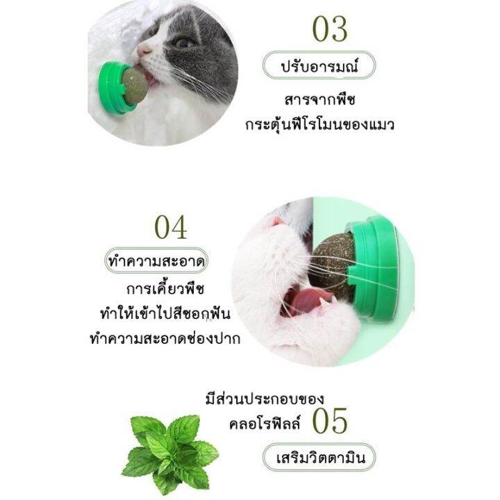 กัญชาแมว-แคทนิปบอล-ติดกำแพง-ไม่กลิ้งหาย-catnip-ball-ของเล่นแมว-อุปกรณ์สัตว์-สำหรับแมว