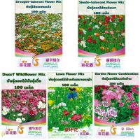 เมล็ดพันธุ์ ดอกไม้ พันธุ์เตี้ย ( Dwarf wildflower mix ) บรรจุ 100 เมล็ด