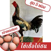 ไข่เชื้อไก่ชน เจ้าเพรชเอก ชุด 5 ฟอง