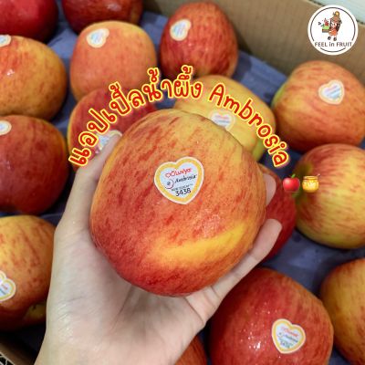 ส่งฟรีรถเย็น! แอปเปิ้ลน้ำผึ้ง​🍎🍯 แอมโบเซีย New Zealand กรอบ​ หวานฉ่ำ​ อร่อย