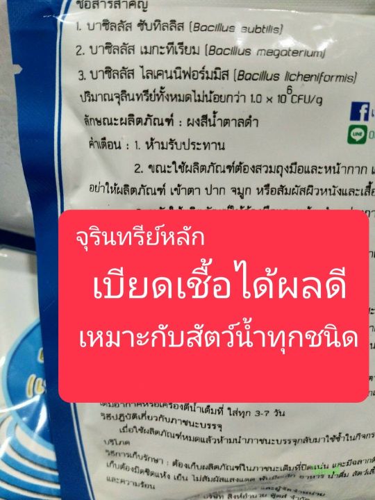 จุลินทรีย์บาซิลลัส-บาซิลลัสซับทิลิส-bacillus-megaterium-bacillus-licheniformis-บำบัดน้ำเสีย-ลดสารอินทรีย์-ไม่แนะนำใช้แก้ไขปัญหาขี้ขาว