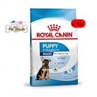 Royal Canin Maxi Puppy อาหารลูกสุนัข ขนาดใหญ่ อายุ 2-15 เดือน 1kg.