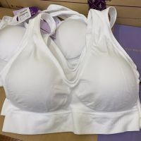 sabina sbxa995 bra เสื้อชั้นใน ทรงสวม ซาบีน่า ฟรีไซส์ freesize