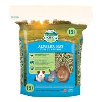 Oxbow - Alfalfa Hay หญ้าอัลฟัลฟ่า สำหรับลูกกระต่าย ขนาด 15 oz