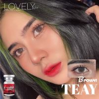 TEAY BROWN รุ่นน้ำตาลปนเทา นัวตาโต