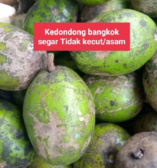 Buah Kedondong Segar 1kg Lazada Indonesia 