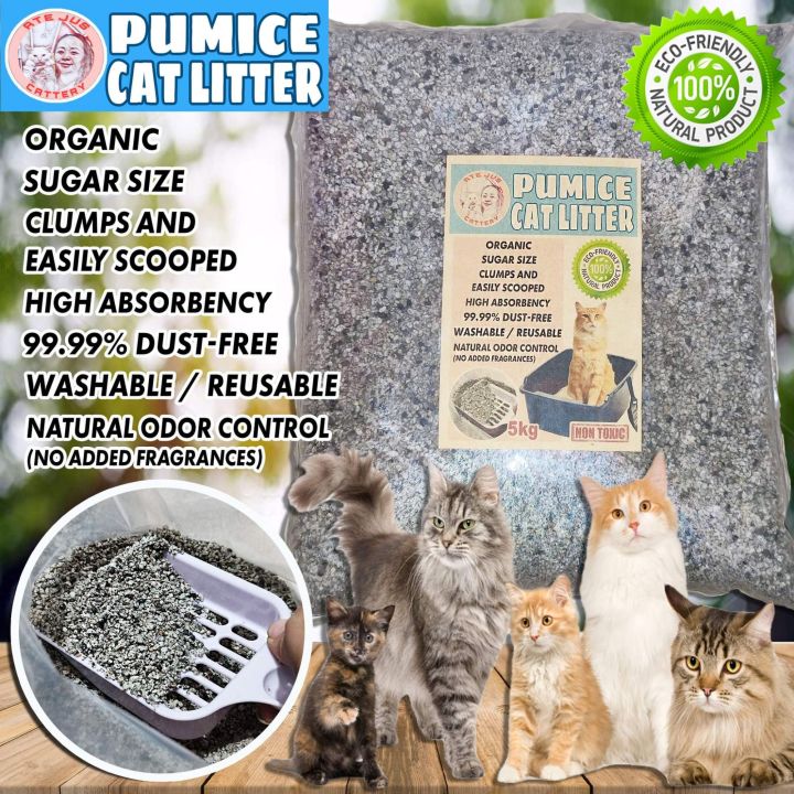 Pumice Cat Litter 5kg Ate Jus Cattery Lazada Ph 1455